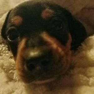 Meet your Posher, Scott